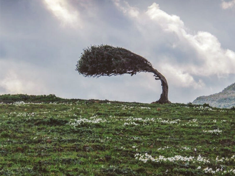 How to Build a Disruption-Ready Supply Chain