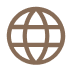 Global Insurance icon