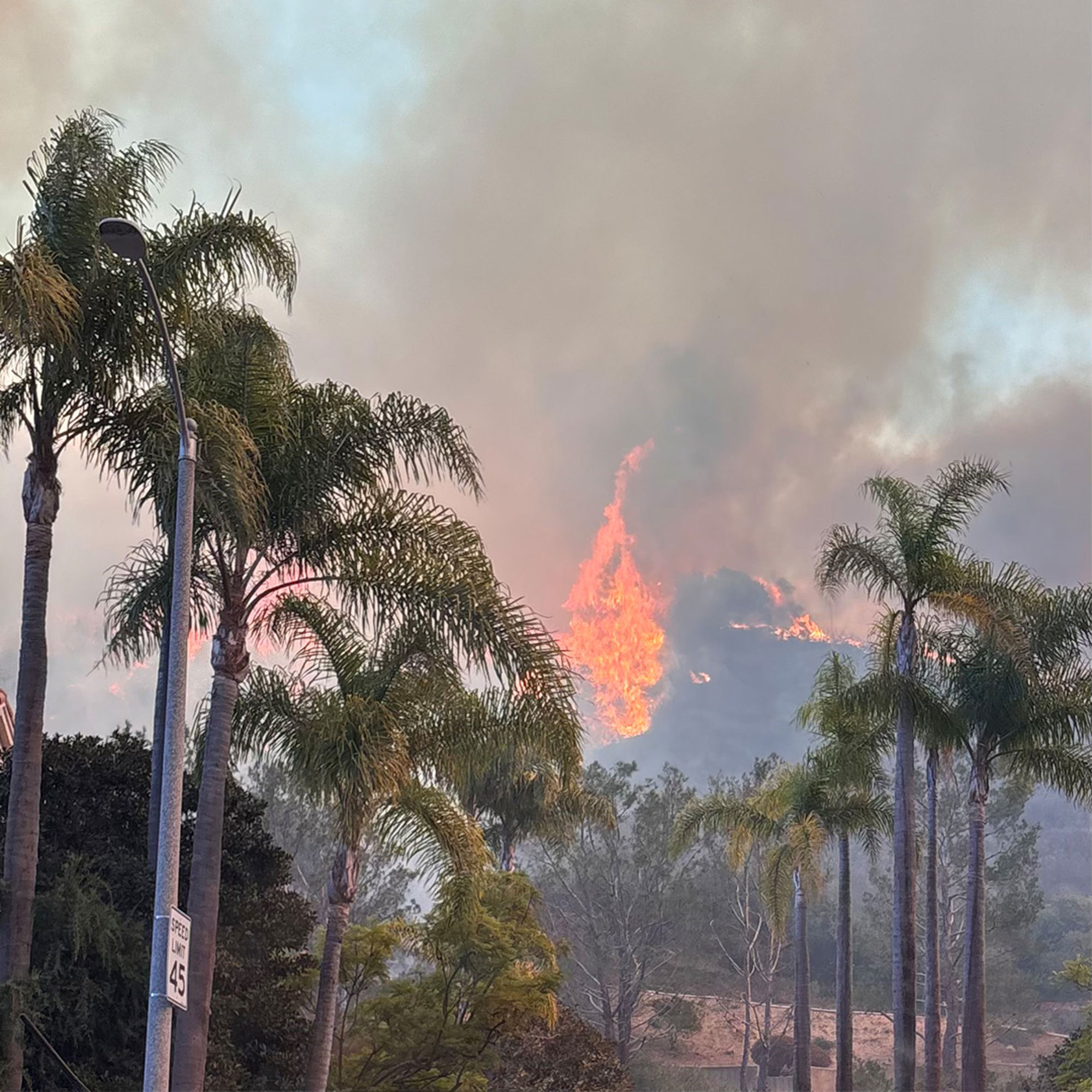 Fire Going Right Next Steps: Where to Start After a Fire